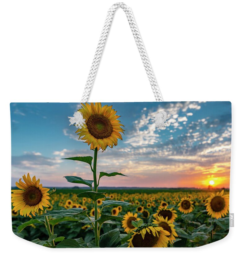 Landscape Weekender Tote Bag featuring the photograph Sunflowers at Sunset by Michael Smith