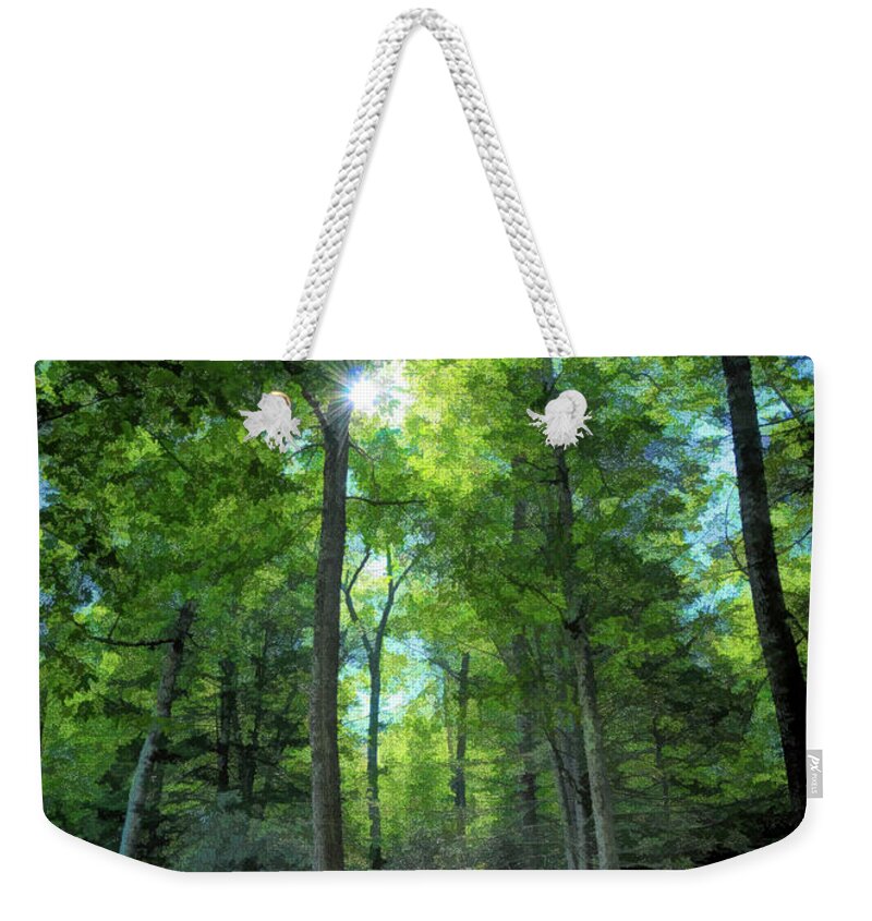 Sunlight Weekender Tote Bag featuring the photograph Sunlight in the Forest by Kerri Farley