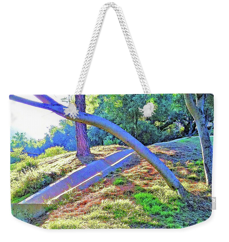 Nature Weekender Tote Bag featuring the photograph Sunlight On A Hillside by Andrew Lawrence