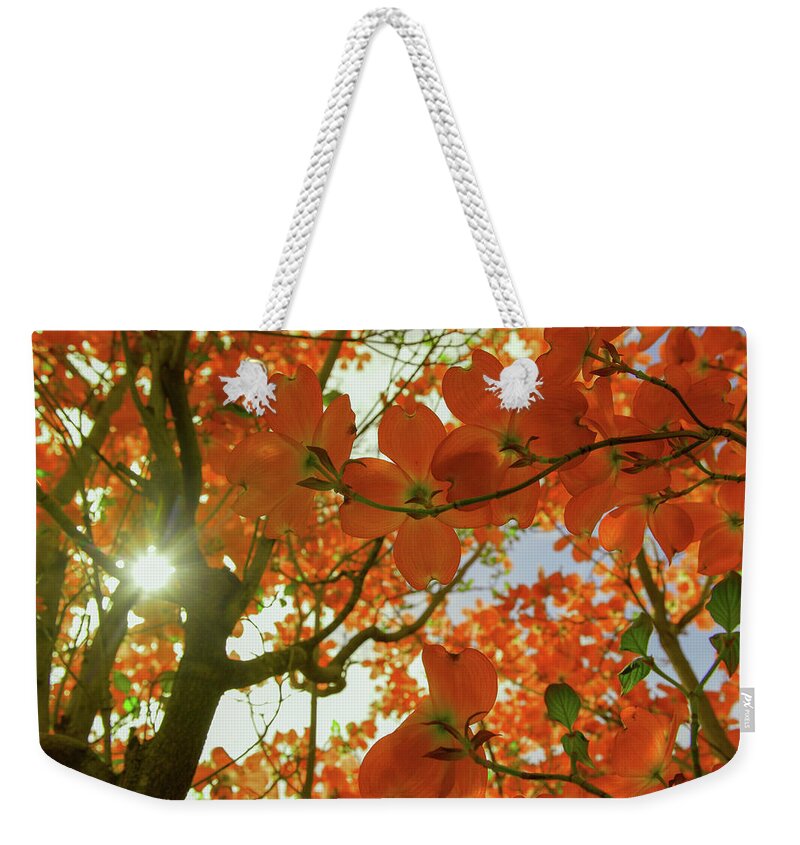 Sun Light Weekender Tote Bag featuring the photograph Sunlight through flowers and leaves by Jeff Swan