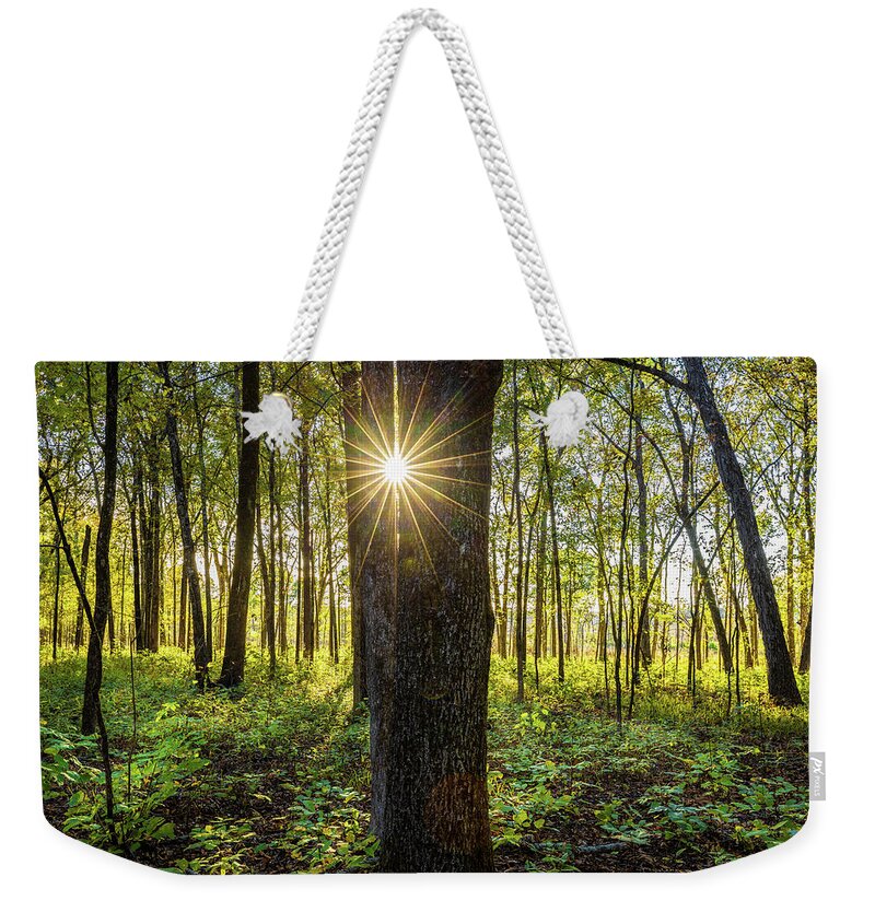 Trees Weekender Tote Bag featuring the photograph Sunlight Through The Trees by Jordan Hill