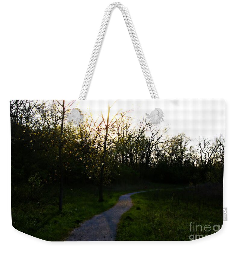 Nature Weekender Tote Bag featuring the photograph Sunlight Through The Trees - Orton Effect by Frank J Casella