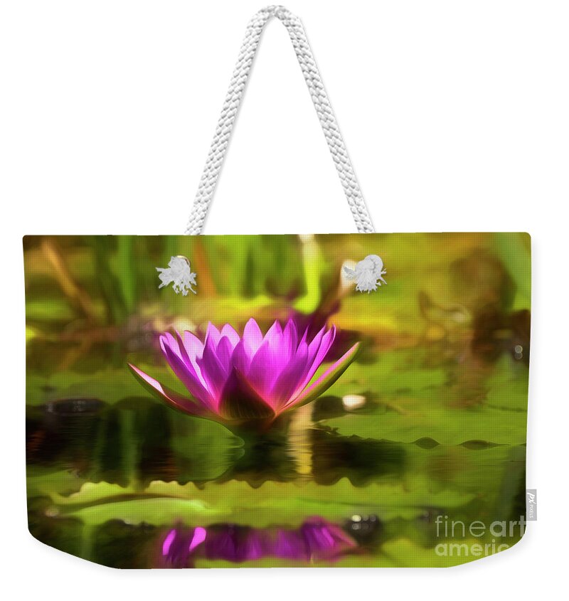 Flower Weekender Tote Bag featuring the photograph Sunlit Kiss by Kathy Baccari