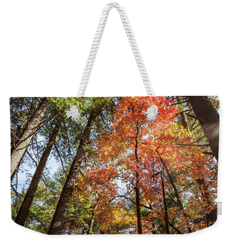 Wiseman's View Weekender Tote Bag featuring the photograph Sunlit Red and Oranges by Cynthia Clark