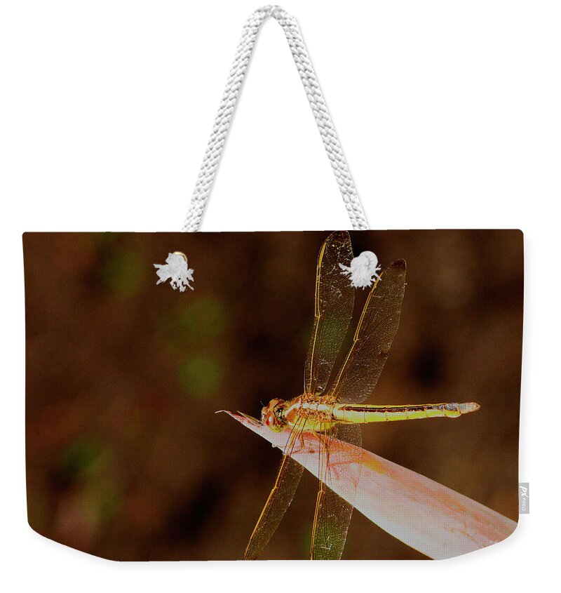 Dragonfly Weekender Tote Bag featuring the photograph Sunning Dragon by Bill Barber