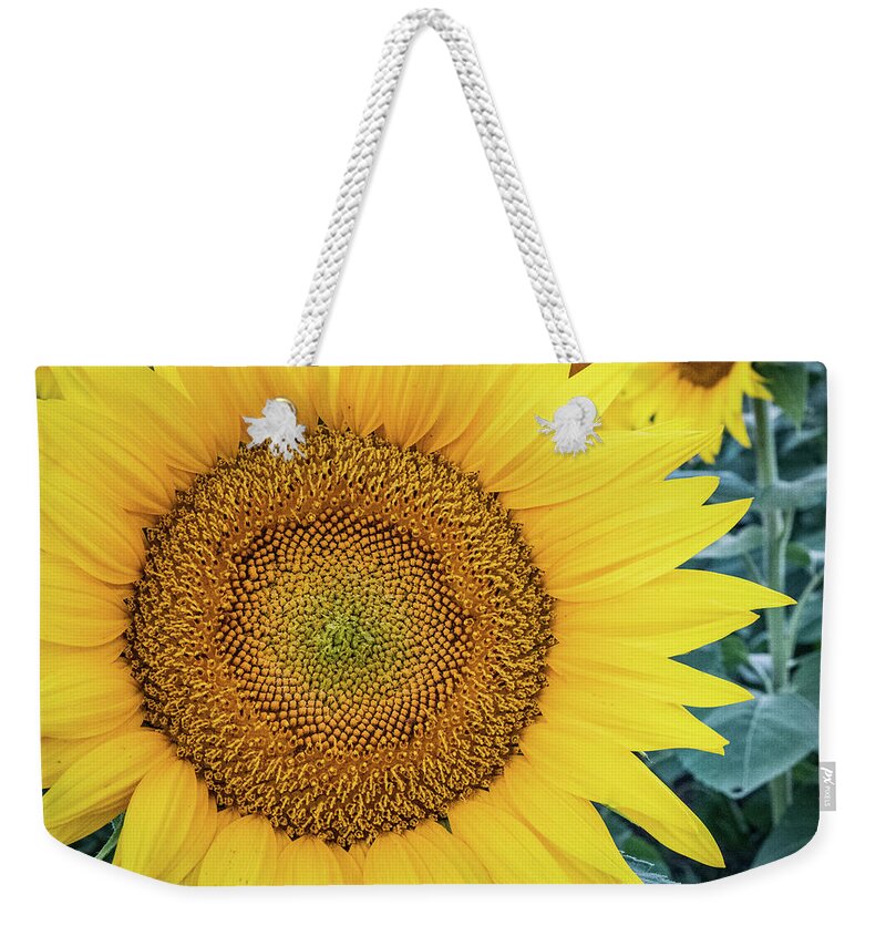 2022 Weekender Tote Bag featuring the photograph Sunny Face by Gerri Bigler
