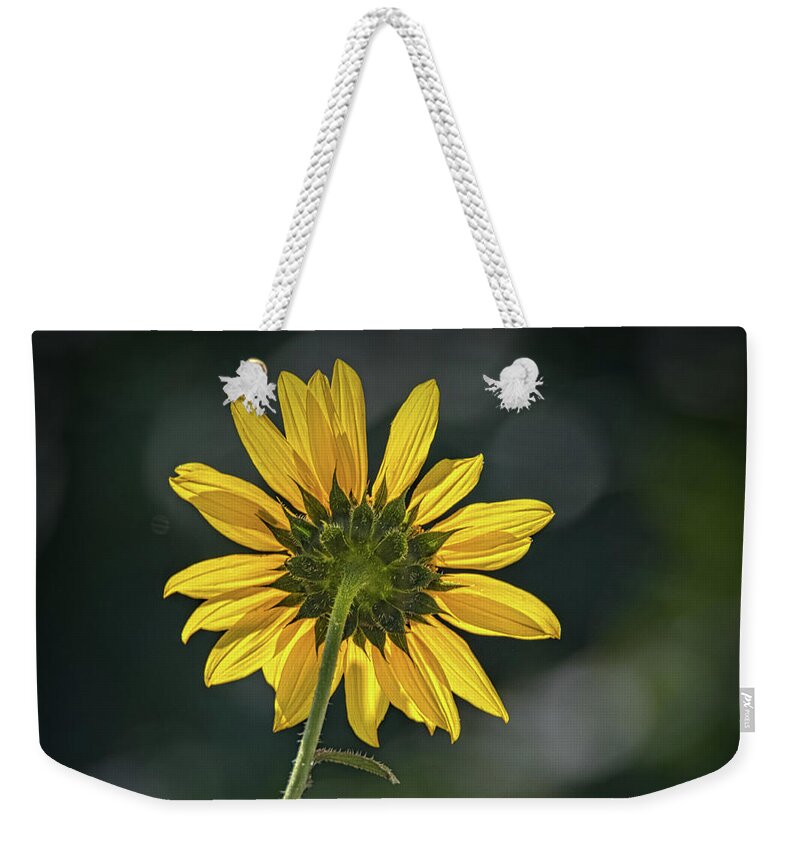 Bloom Weekender Tote Bag featuring the photograph Sunny Sunflower Following the Sun by Debra Martz