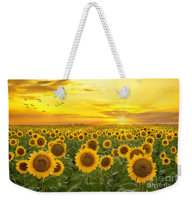 Sunflower Weekender Tote Bag featuring the photograph Sunrays and Sunflowers by Ronda Kimbrow