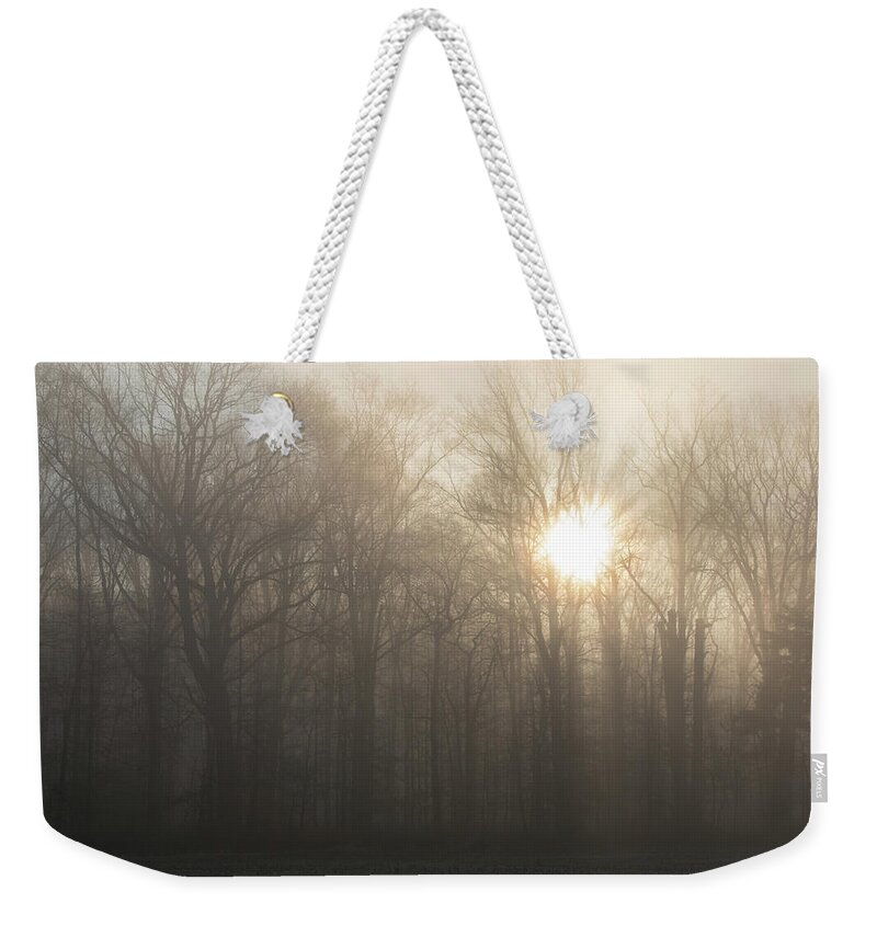 Nature Weekender Tote Bag featuring the photograph Sunrays Through The Trees in Delaware by Kristia Adams