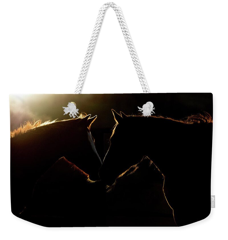 Horse Weekender Tote Bag featuring the digital art Sunrise Companions by Nicole Wilde
