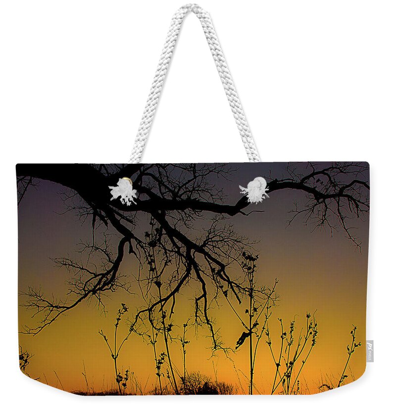 Sunrise Weekender Tote Bag featuring the photograph Sunrise in Joliet, Illinois by David Morehead