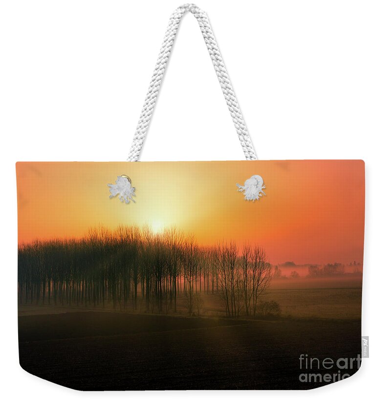 Wood Weekender Tote Bag featuring the photograph Sunrise in the wood by The P