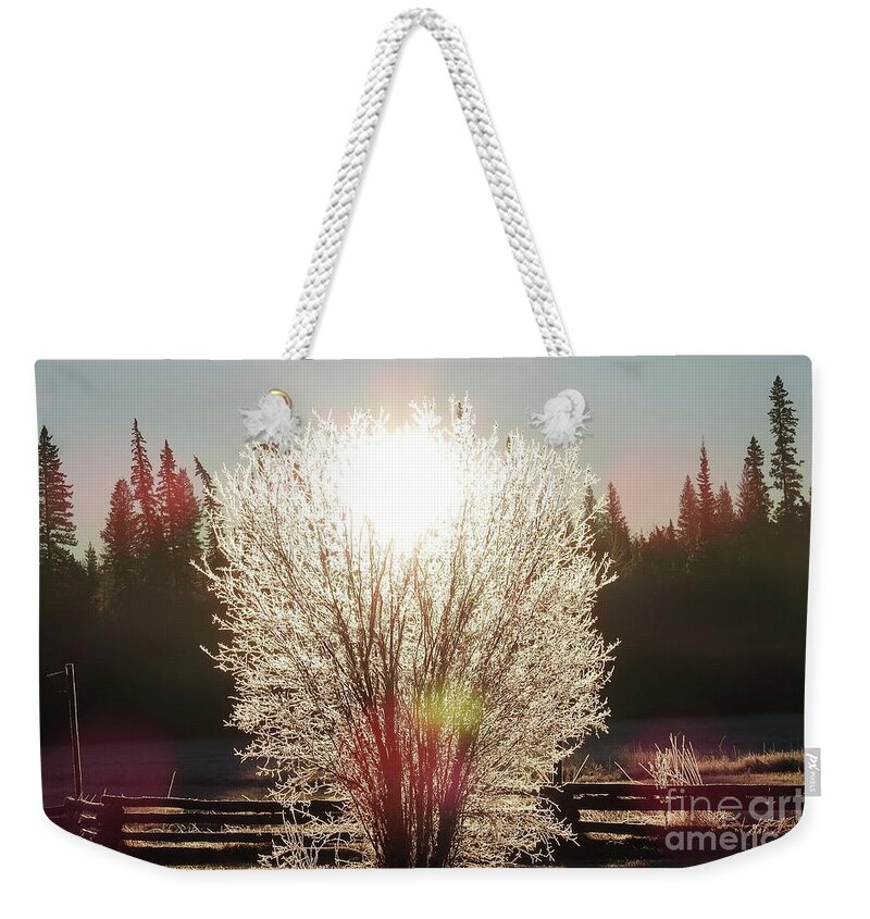 Sunrise Weekender Tote Bag featuring the photograph Sunrise on the meadow. by Nicola Finch