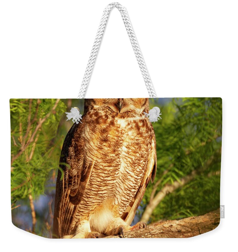 Owl Weekender Tote Bag featuring the photograph Sunrise Owl by D Robert Franz