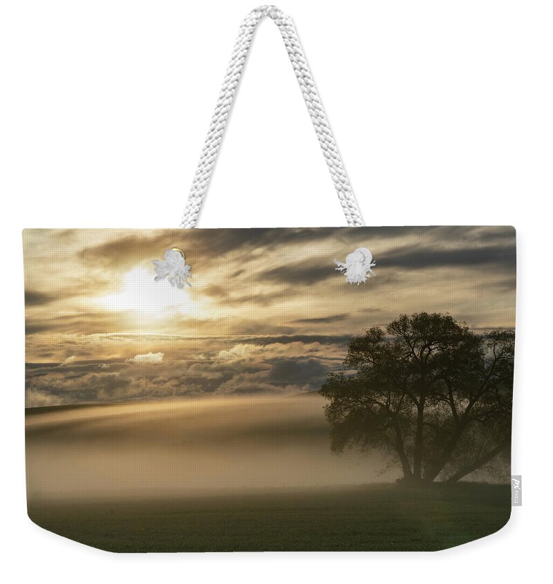 Sunrise Weekender Tote Bag featuring the photograph Sunrise through Fog by Louise Kornreich