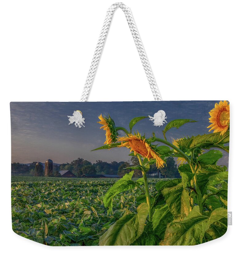Tennessee Weekender Tote Bag featuring the photograph Sunrise With Sunflowers by Marcy Wielfaert