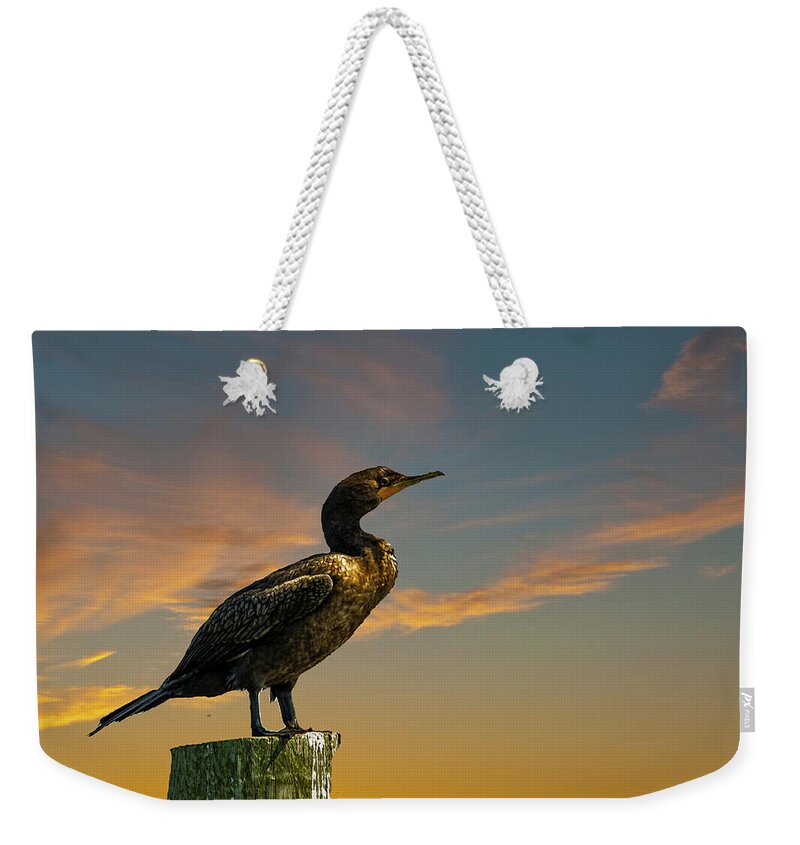 Bird Weekender Tote Bag featuring the photograph Sunset Cormorant by Cathy Kovarik