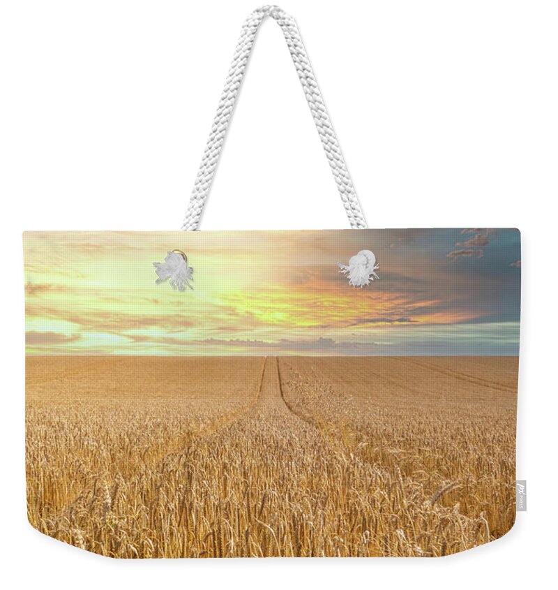 Sunset Weekender Tote Bag featuring the photograph Sunset over a Wheat Field by Roy Pedersen