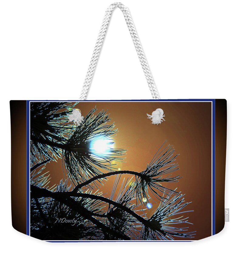 Sunset Pine Weekender Tote Bag featuring the photograph Sunset Pine by Natalie Dowty