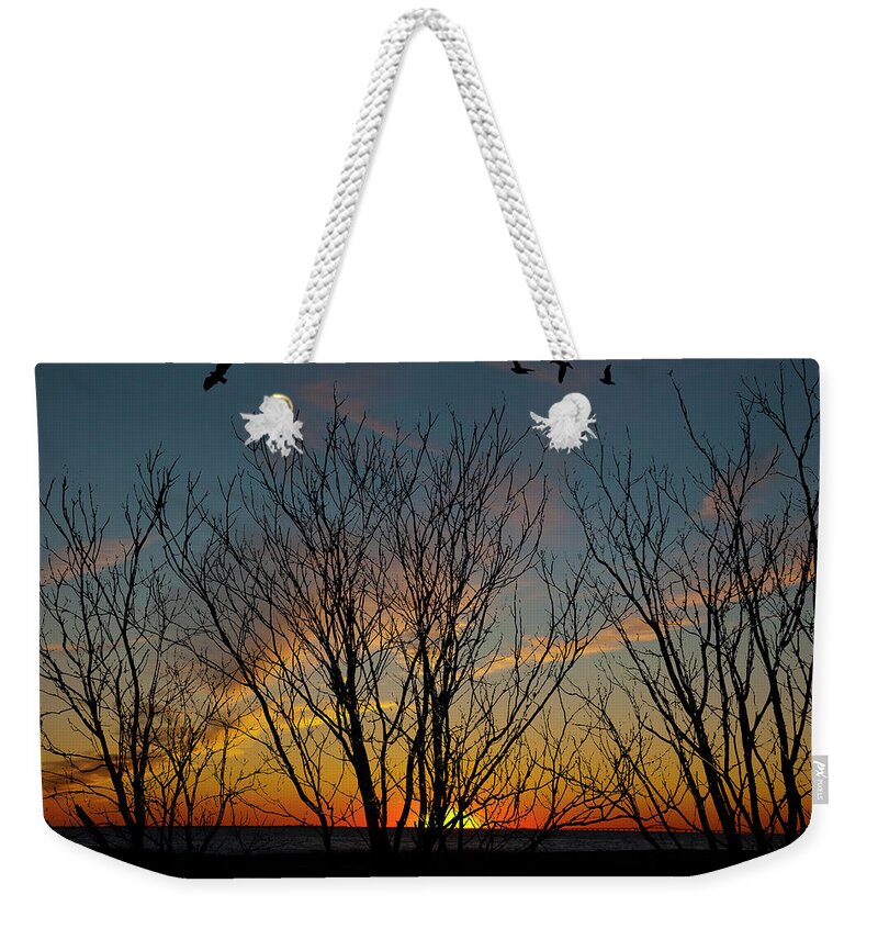 Sunset Weekender Tote Bag featuring the photograph Sunset Through The Trees by Cathy Kovarik