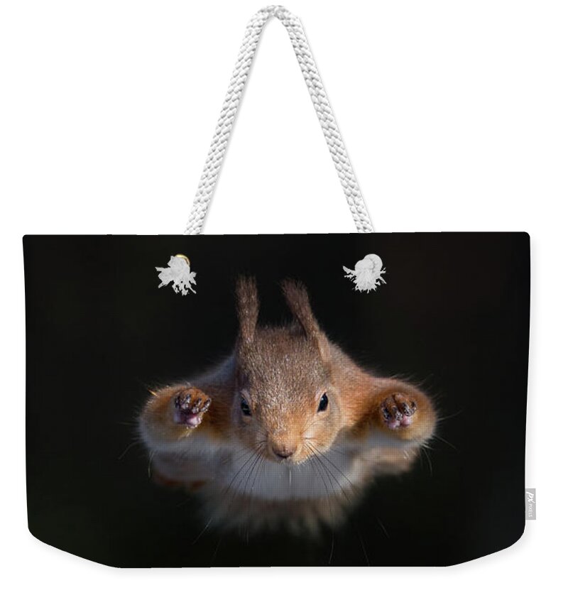 Red Weekender Tote Bag featuring the photograph Super Squirrel by Pete Walkden
