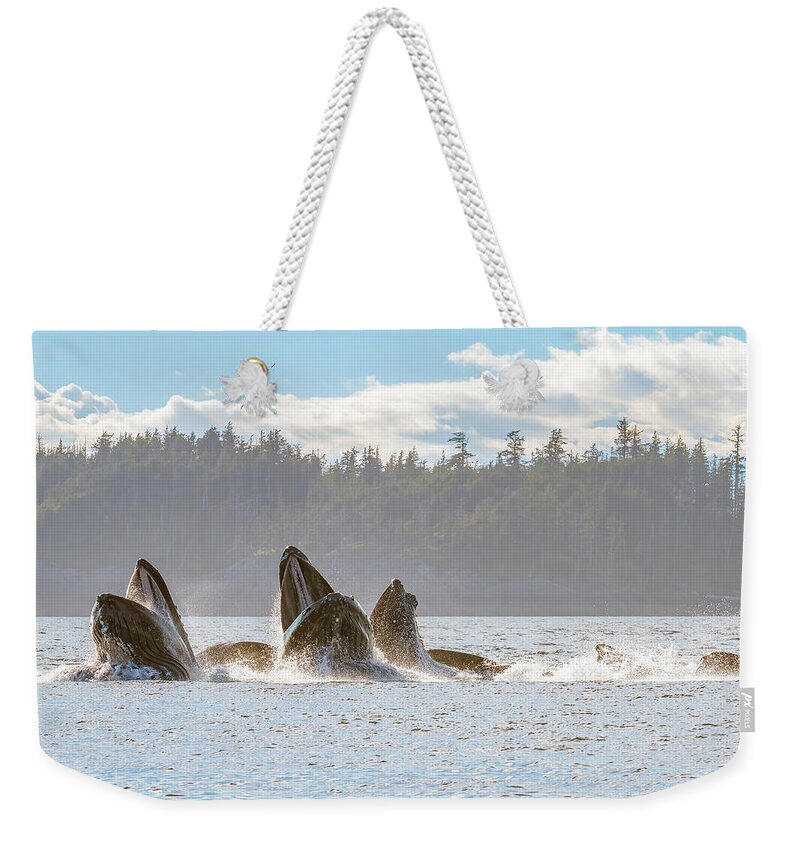 Whale Weekender Tote Bag featuring the photograph Surprise Meal by Michael Rauwolf