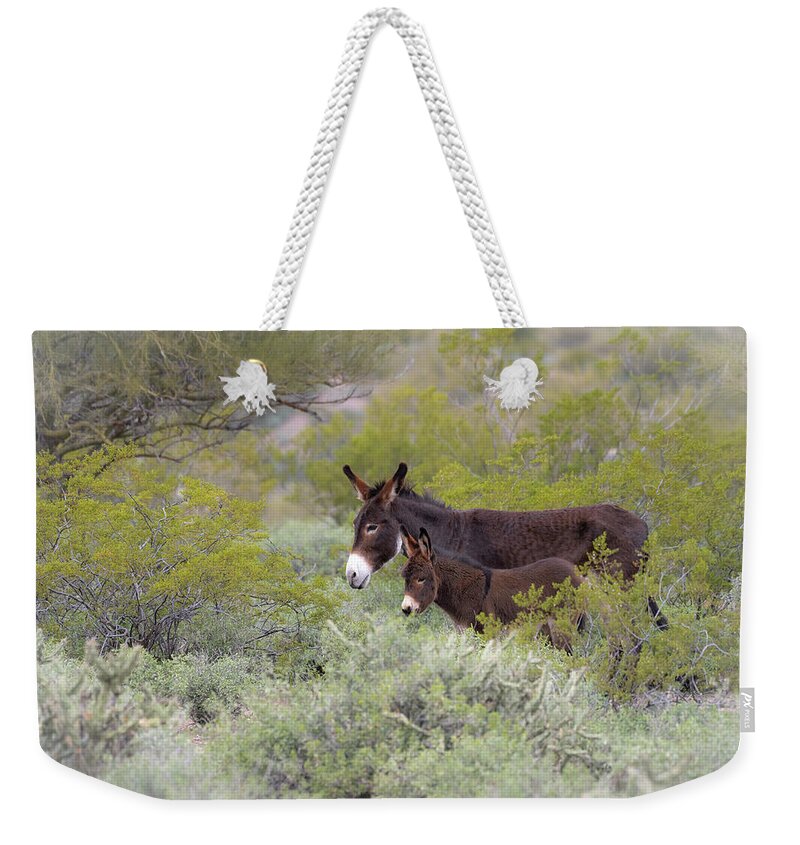 Wild Burro Weekender Tote Bag featuring the photograph Surrounded by Mary Hone