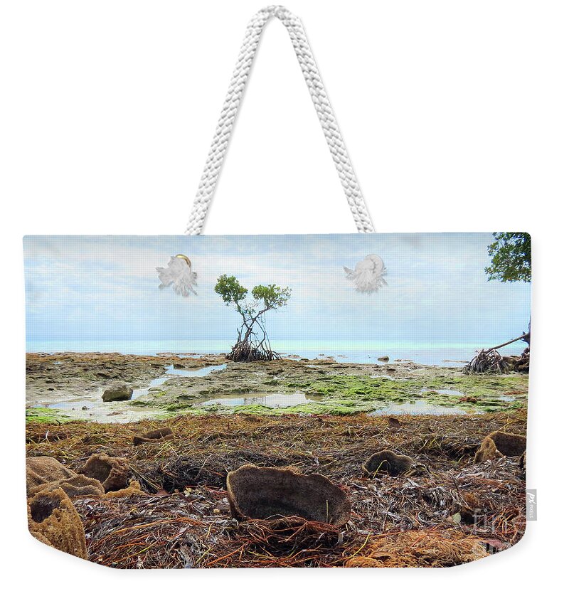 Mangrove Weekender Tote Bag featuring the photograph Surroundings - Florida Mangroves Sponges by Chris Andruskiewicz