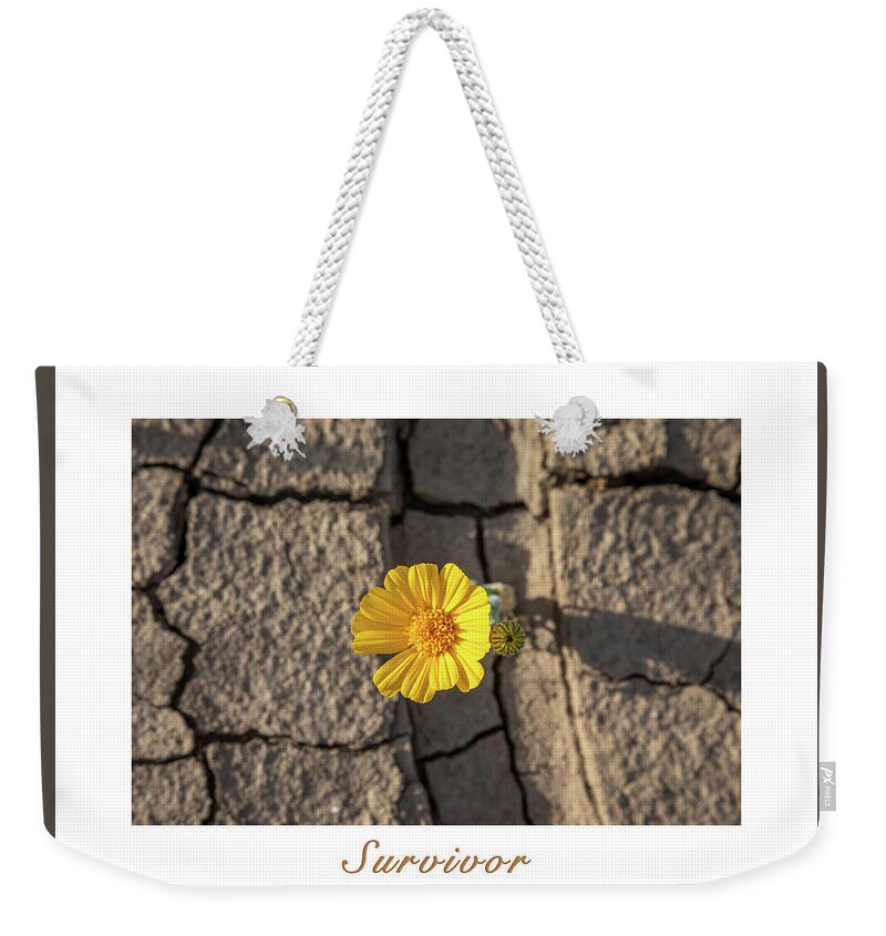 Anza - Borrego Desert State Park Weekender Tote Bag featuring the photograph Survivor - Text Matted by Peter Tellone