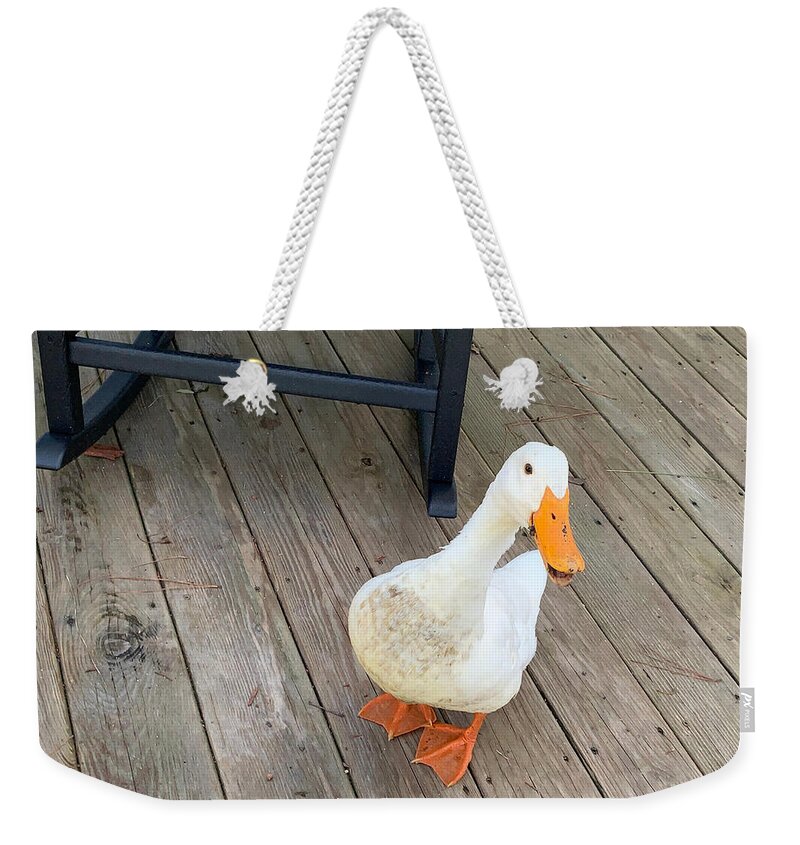 Nc Weekender Tote Bag featuring the photograph Swagger by Lee Darnell