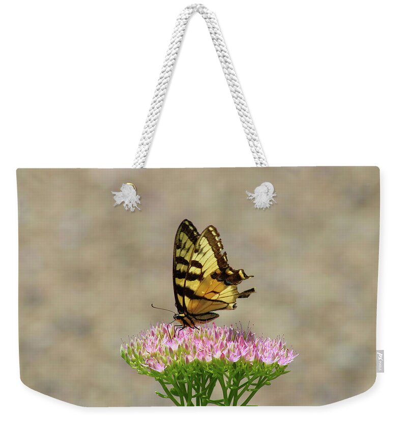 Swallowtail Weekender Tote Bag featuring the photograph Swallowtail Butterfly Endures by Christopher Reed