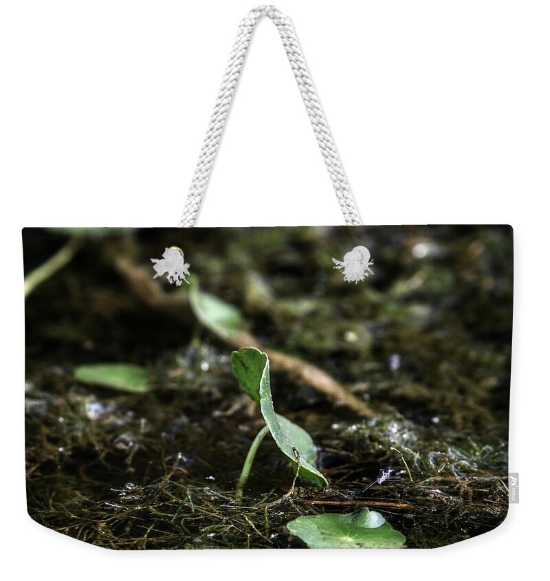 Photo Weekender Tote Bag featuring the photograph Swamp Flora by Evan Foster