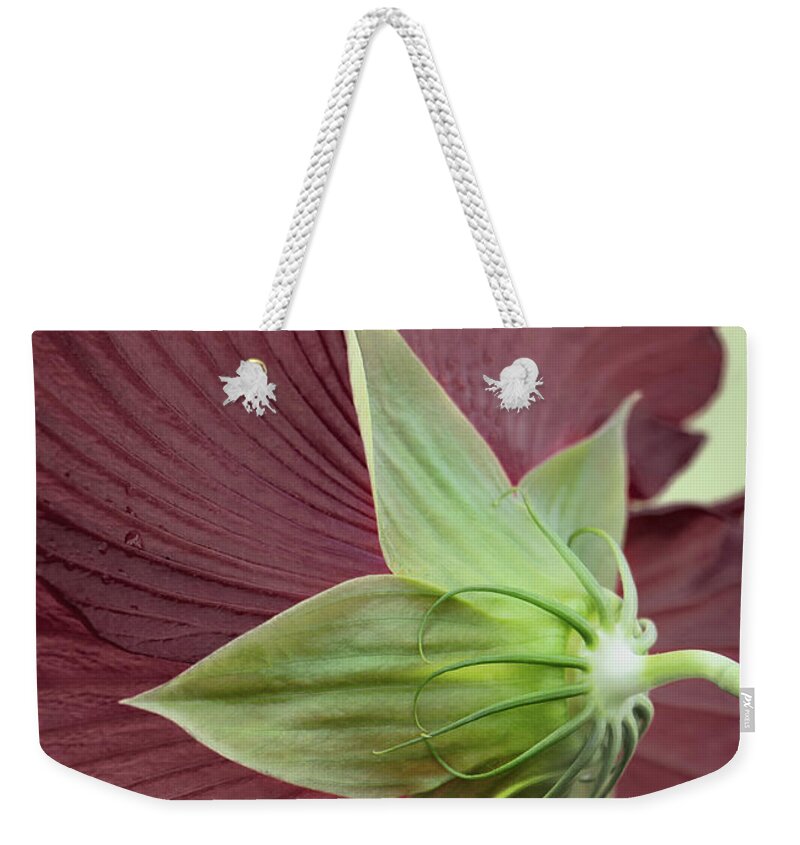 Hibiscus Weekender Tote Bag featuring the photograph Swamp Hibiscus by M Kathleen Warren