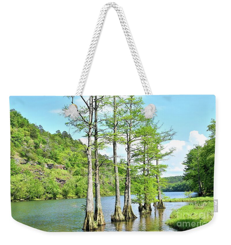 Mountain Weekender Tote Bag featuring the photograph Swamp Tupelo Trees by Diana Mary Sharpton