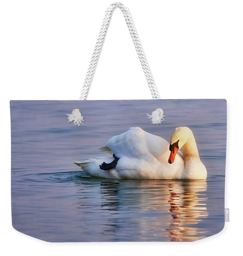 Swan Weekender Tote Bag featuring the photograph Swan floating at twilight by Tatiana Travelways