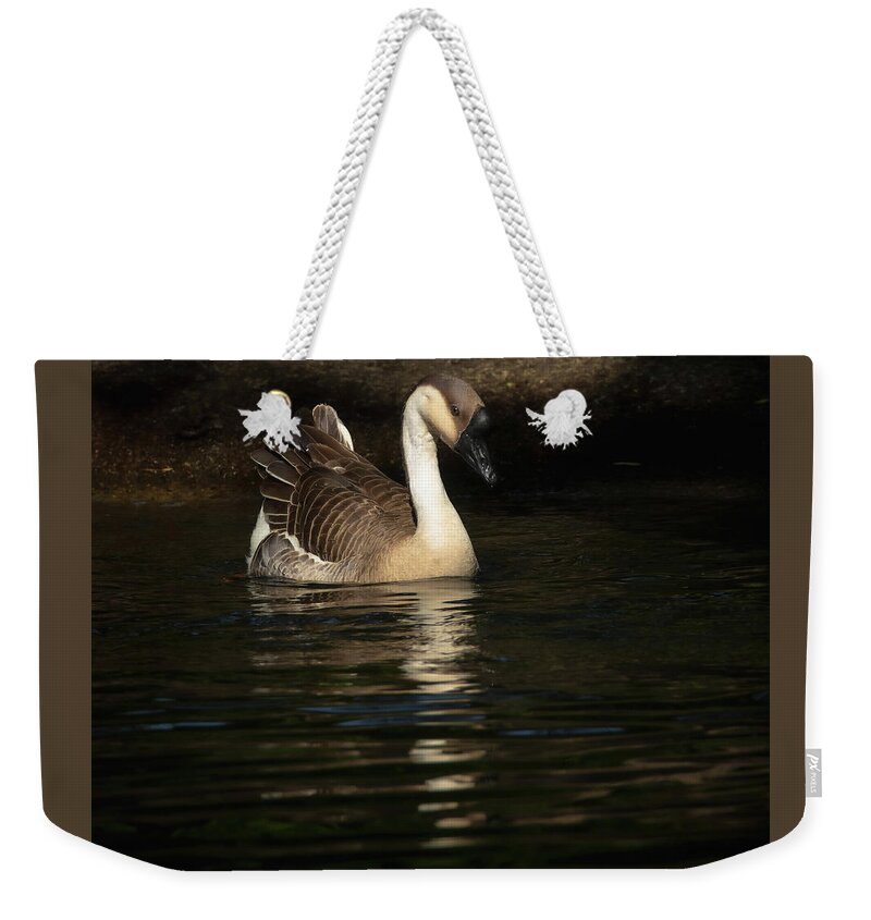 Chineseswangoose Weekender Tote Bag featuring the photograph Swan Goose by Pam Rendall