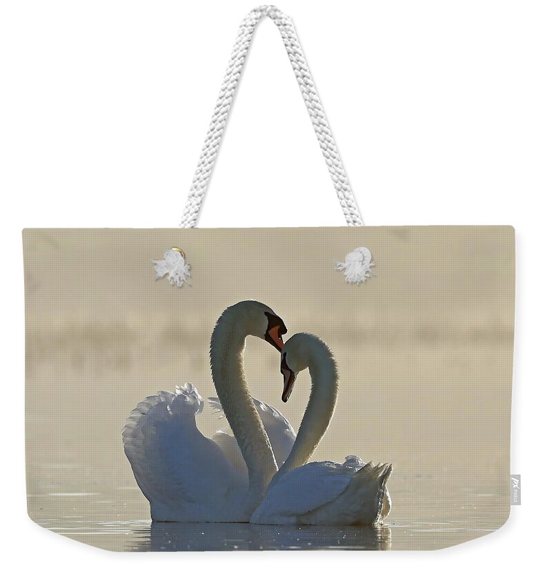 Swan Weekender Tote Bag featuring the photograph Swans In Fog 461, Indiana by Steve Gass