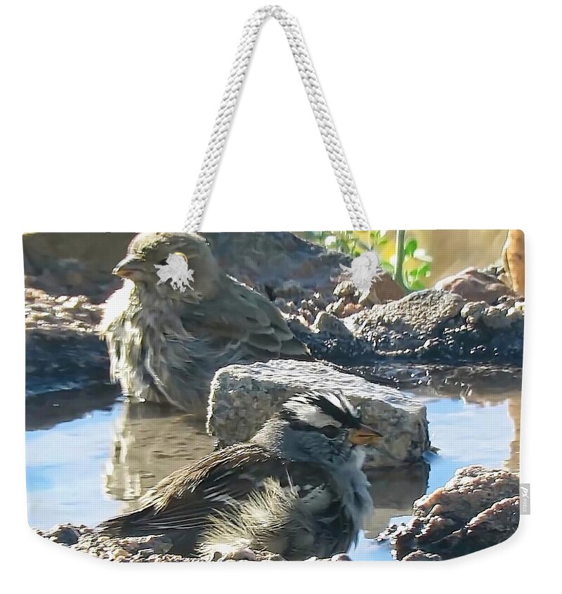 Affordable Weekender Tote Bag featuring the photograph Sweet Bathing Birds by Judy Kennedy