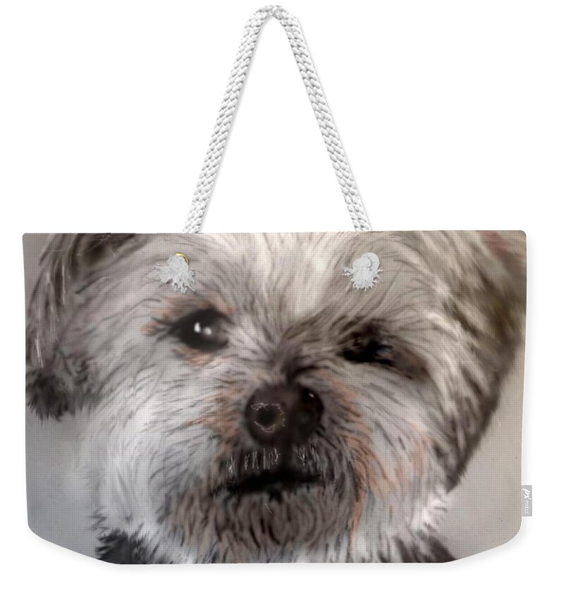 Pencil Sketch Of A Sweet Dog Weekender Tote Bag featuring the mixed media Sweet face by Pamela Calhoun