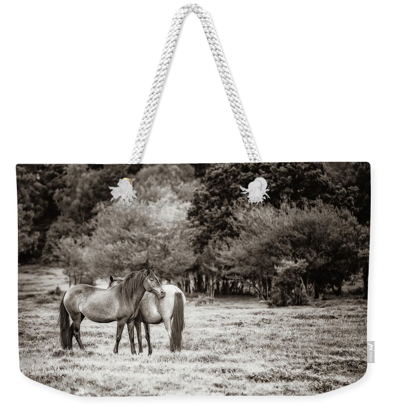 Photographs Weekender Tote Bag featuring the photograph Sweet Friendship II - Horse Art by Lisa Saint