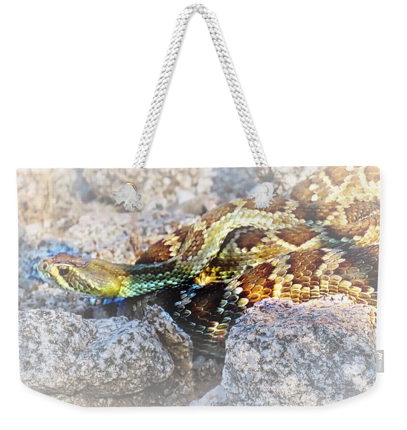 Affordable Weekender Tote Bag featuring the photograph Sweet Honey in the Rock by Judy Kennedy
