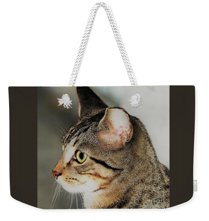 Cat Weekender Tote Bag featuring the photograph Sweet Kitty by Joanne Carey