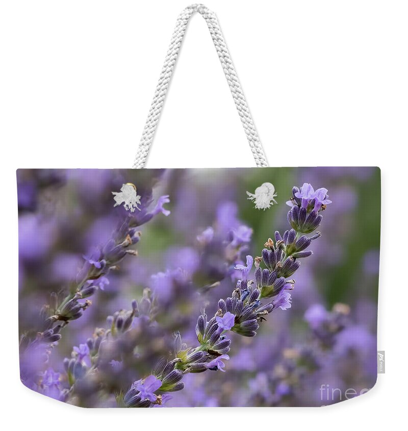 Lavender Weekender Tote Bag featuring the photograph Sweet Lavender by Lorraine Cosgrove