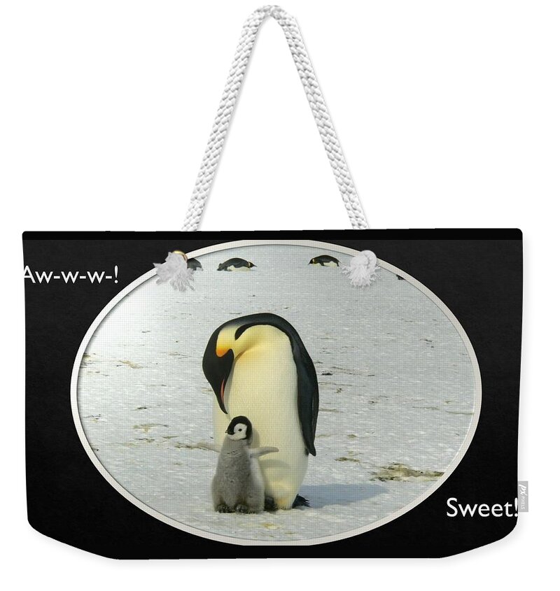 Penguins Weekender Tote Bag featuring the photograph Sweet Penguins by Nancy Ayanna Wyatt