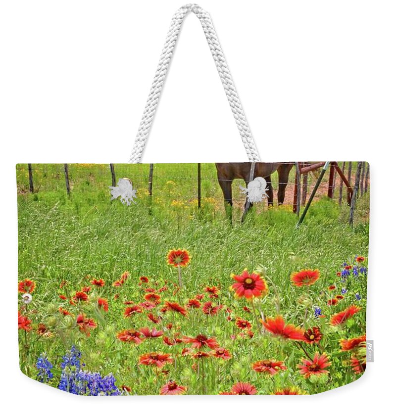 Texas Hill Country Weekender Tote Bag featuring the photograph Sweet Times in the Hill Country by Lynn Bauer
