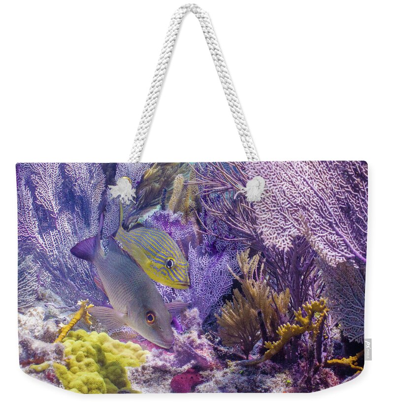 Animals Weekender Tote Bag featuring the photograph Swim WIth Me by Lynne Browne