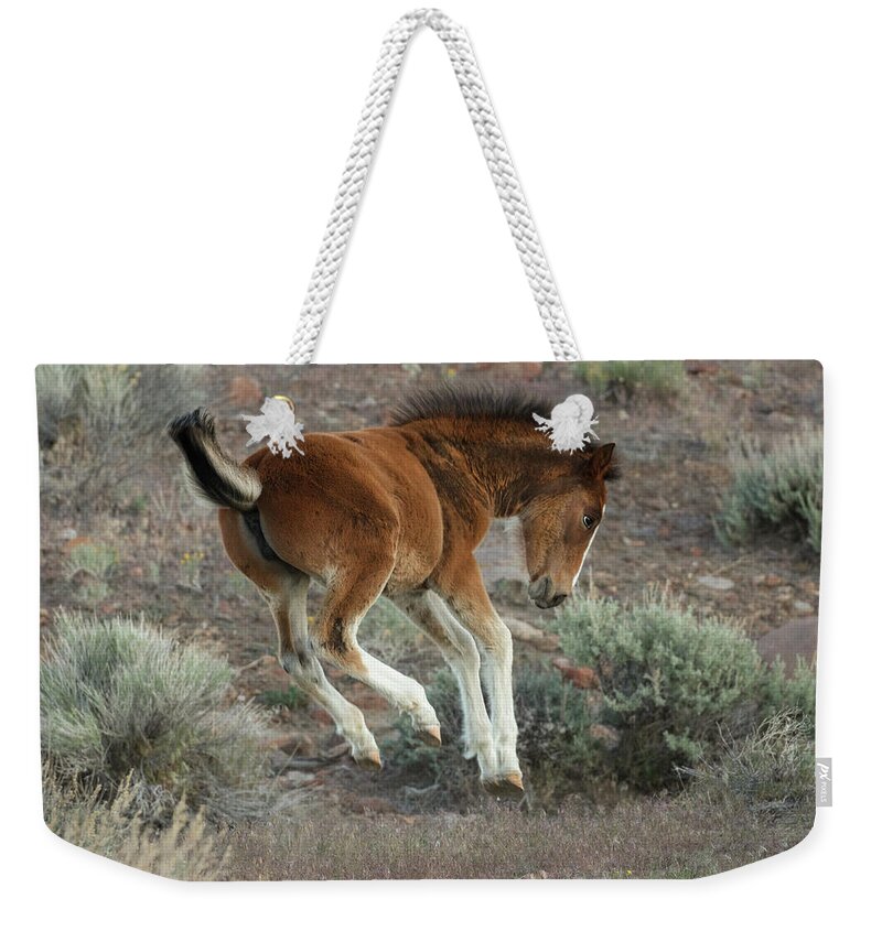 Weekender Tote Bag featuring the photograph _t__2236 by John T Humphrey