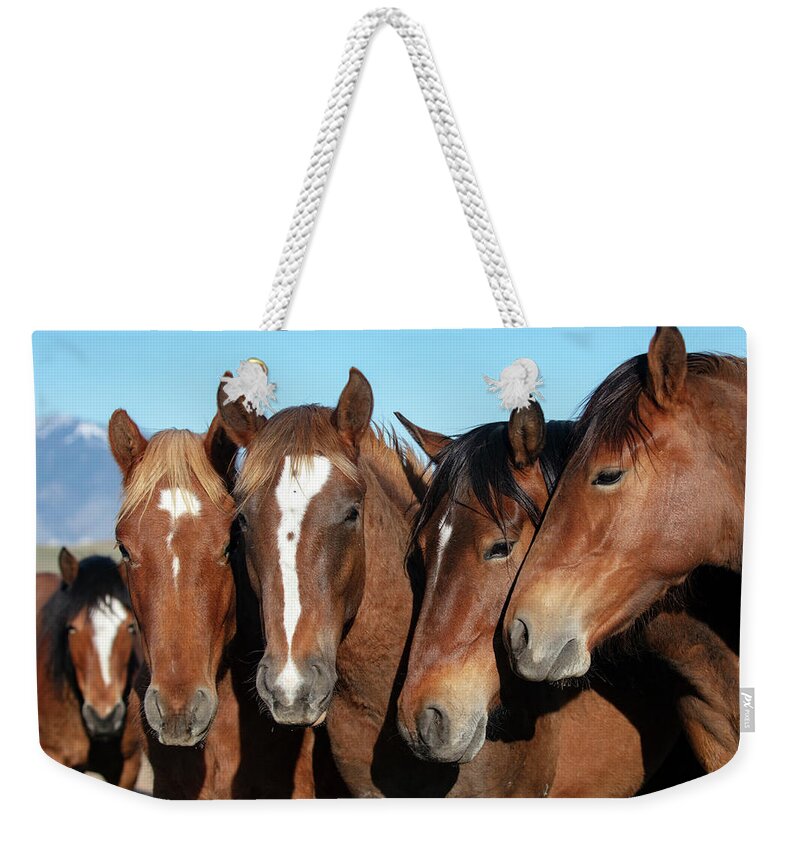  Weekender Tote Bag featuring the photograph _t__9744 by John T Humphrey
