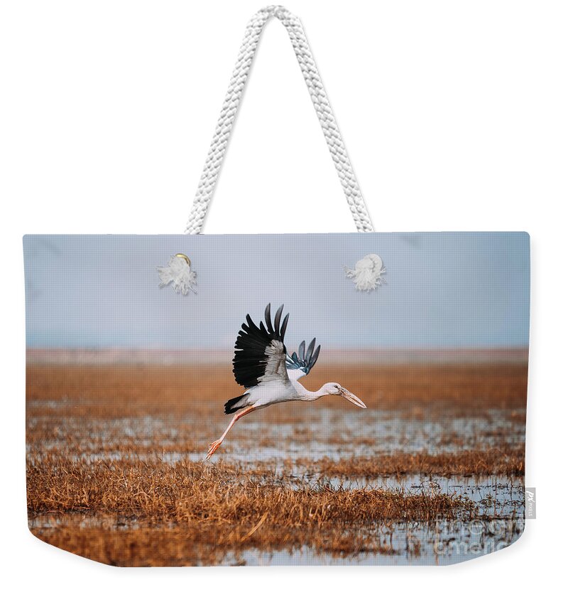 Bird Weekender Tote Bag featuring the photograph Take Off by Dheeraj Mutha