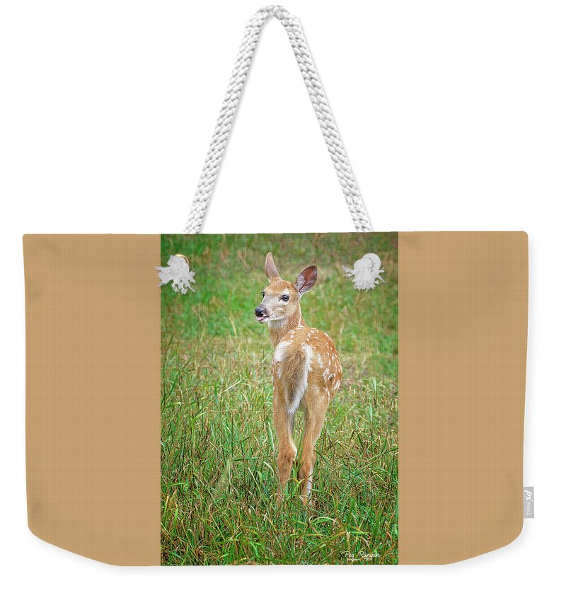 Fawn Weekender Tote Bag featuring the photograph Take That by Peg Runyan